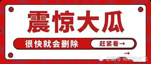 娱乐圈八卦吃瓜总汇